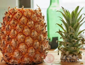 菠萝的功效,天然消化助手，健康生活必备水果”
